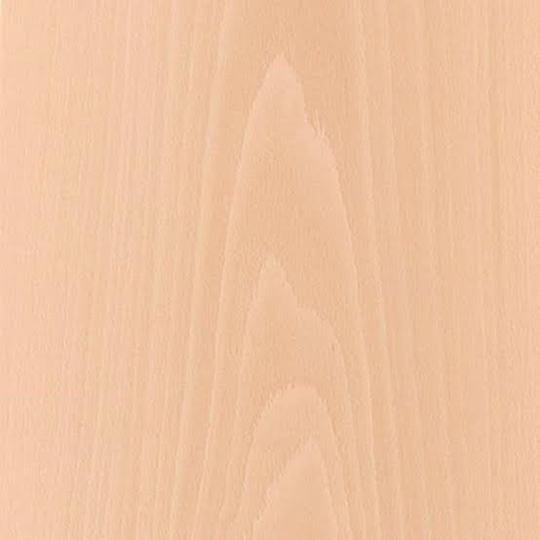 Beech